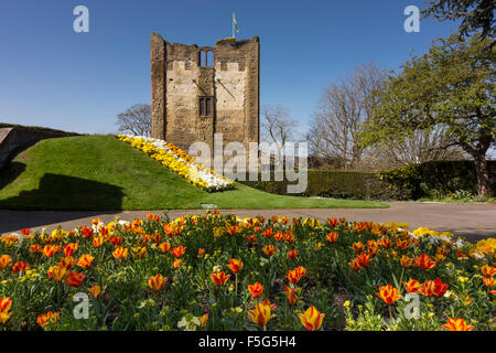 Grande tour du château de Guildford, Surrey, UK Banque D'Images