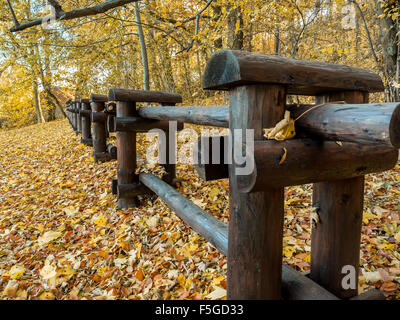 Clôture en bois journal rustique à la frontière de la forêt dans le temps de l'automne Banque D'Images