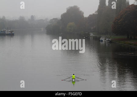 Kingston London,UK. 4e novembre 2015. La rameuse sur la Tamise sur un matin brumeux à Kingston Surrey Crédit : amer ghazzal/Alamy Live News Banque D'Images