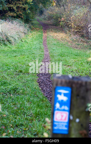 Sign post marquant le tracé de la Trans Pennine Trail à Sheffield, South Yorkshire, partie de la Sustrans réseau pour les cyclistes Banque D'Images