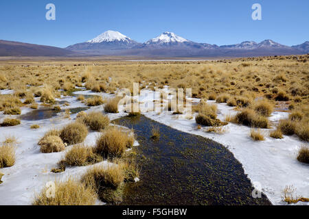 Les volcans couverts de neige pomerape et parinacota, l'eau gelée, le parc national de Sajama, frontière entre la Bolivie et le Chili Banque D'Images