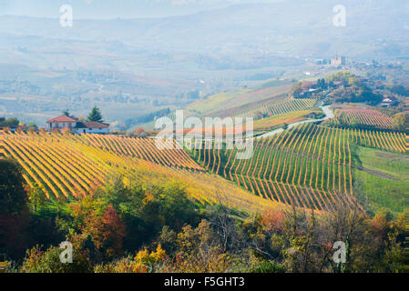 Piémont, Italie, panorama de vignobles du Piémont : Langhe-Roero et Monferrato dans la Liste du patrimoine mondial de l'UNESCO près de Grinzane Banque D'Images