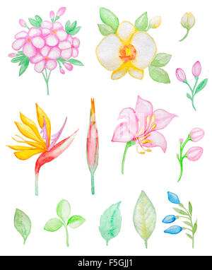 Ensemble de feuilles et fleurs tropicales aquarelle pour la conception Banque D'Images