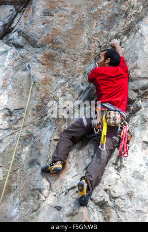 L'homme, Climber climbing up the rock face, République Tchèque Banque D'Images