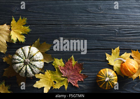 Automne fond avec des citrouilles et des feuilles Banque D'Images