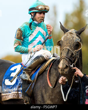 31 octobre 2015 - Lexington, Kentucky, États-Unis - 31 octobre 2015 : Stallwalkin' Dude, monté par l'IRAD Ortiz Jr., après le TwinSpires Sprint Breeders' Cup (catégorie I) à Lexington, Kentucky, le 31 octobre 2015. Zoe Metz/ESW/CSM Banque D'Images