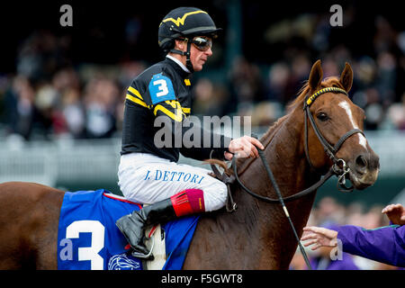 31 octobre 2015 - Lexington, Kentucky, États-Unis - 31 octobre 2015 : Joueur, montée par Lanfranco Dettori, après le TwinSpires Breeders' Cup Turf Sprint (catégorie I) à Lexington, Kentucky, le 31 octobre 2015. Zoe Metz/ESW/CSM Banque D'Images