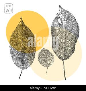 Les feuilles. Modèle avec la leaf Illustration de Vecteur