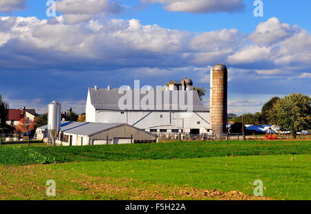 Le Comté de Lancaster en Pennsylvanie : une vierge Amish farm avec grande grange, silos, et les champs de production * Banque D'Images