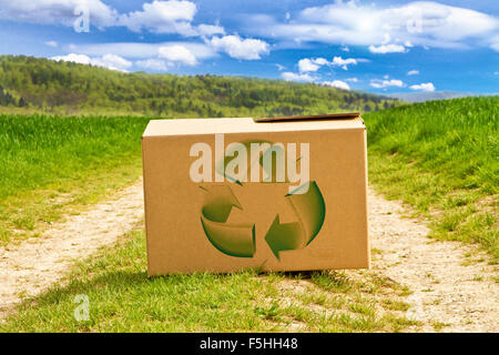 Boîte en carton avec recycler symbole sur un chemin de la nature Banque D'Images