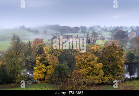 Abbaye Egglestone, Barnard Castle, Teesdale, County Durham, Royaume-Uni. 5e novembre 2015. Météo britannique. Un brouillard terne et commencer la journée dans le nord de l'Angleterre, mais les arbres à au moins ajouter de la couleur au paysage comme un épais brouillard roule sur la terres agricoles autour Egglestone Abbey. Crédit : David Forster/Alamy Live News Banque D'Images