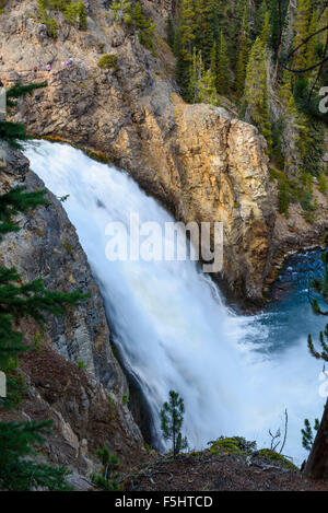 Upper Falls, rivière Yellowstone, le Parc National de Yellowstone, Wyoming, USA Banque D'Images