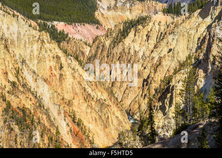 Grand Canyon de Yellowstone River, le Parc National de Yellowstone, Wyoming, USA Banque D'Images