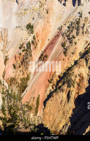 Grand Canyon de la Yellowstone River, le Parc National de Yellowstone, Wyoming, USA Banque D'Images