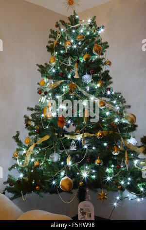 Une longue exposition d'arbres de Noël Banque D'Images