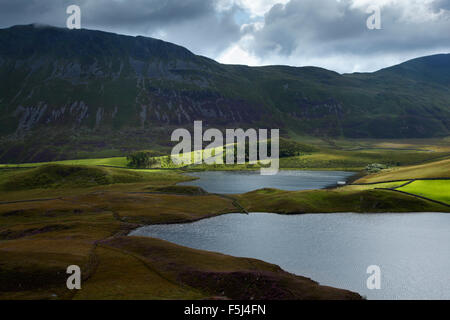 Cregennan les lacs. Le Parc National de Snowdonia. Gwynedd. Le Pays de Galles. UK. Banque D'Images