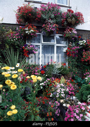 Les pétunias et les impatiens colorés en suspensions et des frontières dans le jardin d'une maison de banlieue des années 70 Banque D'Images