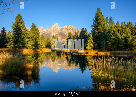 Teton vont de l'atterrissage Schwabacher, Snake River, à l'aube, Grand Tetons National Park, Wyoming, USA Banque D'Images