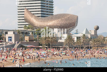 Poisson ou Peix,sculpture en bronze de Frank Gehry au Port Olympique zone. Bien baigneurs à la plage de Barceloneta urbain,Barcelone,Catalan,Espagne Banque D'Images