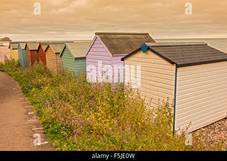 Une rangée de cabanes de plage East Budleigh Salterton Devon UK Banque D'Images