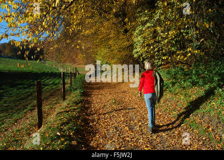 Marche à travers la campagne hollandaise, Epen, Zuid Limburg, Pays-Bas Banque D'Images