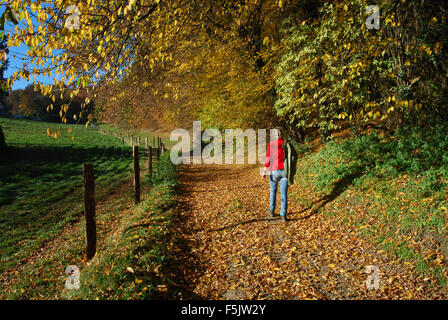 Marche à travers la campagne hollandaise, Epen, Zuid Limburg, Pays-Bas Banque D'Images