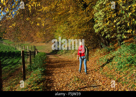 Marche à travers la campagne hollandaise, Epen, Zuid Limburg, Pays-Bas Banque D'Images