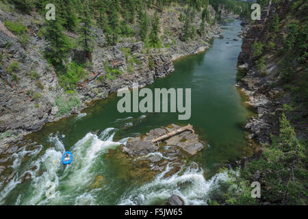 Tournage de chevrons fang rapides sur la rivière Clark Fork à Alberton, à proximité alberton, Montana Banque D'Images