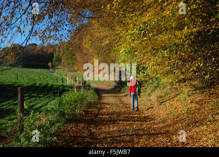 Marche à travers la campagne hollandaise, Epen, Zuid Limburg, Pays-Bas Banque D'Images