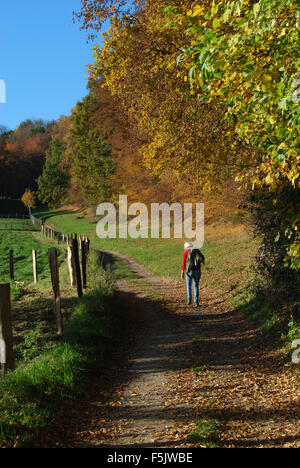 Marche à travers la campagne hollandaise, Epen, Zuid Limburg, Pays-Bas Banque D'Images