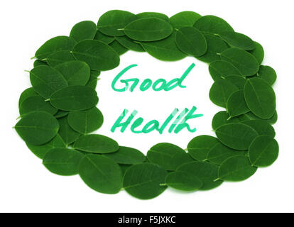 Une bonne santé écrit dans les feuilles de Moringa châssis sur fond blanc Banque D'Images