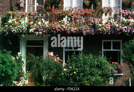 Les pétunias et géraniums colorés en suspensions et jardinières sur un balcon maison Banque D'Images