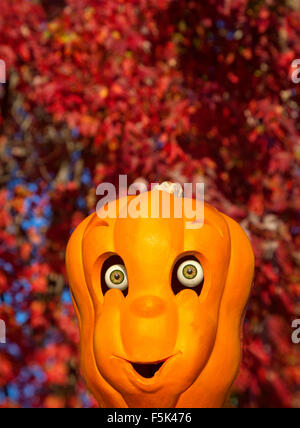 Halloween citrouille sculptée jouet avec des yeux réalistes et un arbre d'automne dans l'arrière-plan, 2015. Banque D'Images