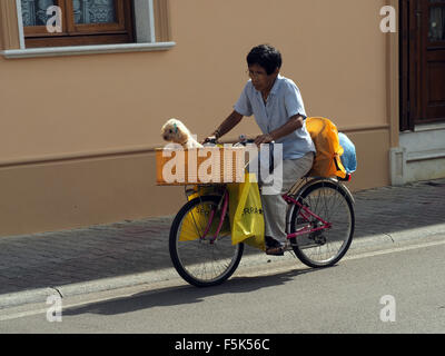 L'homme oriental lunettes pédaler un vélo rose chargé le long d'une rue italienne vide avec un petit chien à l'avant pannier Banque D'Images