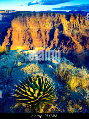 Avis de Chuar Butte depuis le cap de la solitude, du Parc National de Grand Canyon, Colorado, Arizona, South Rim Banque D'Images