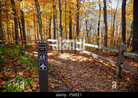 Sentier au parc d'Eagle Creek le long de la réserve ornithologique, Indianapolis, Indiana. Banque D'Images