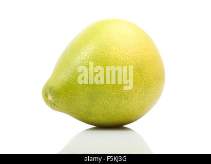 Agrumes - gros pamplemousse. Pomélo, pomelo, Shaddock, Pommelo Shaddok, pamplemousse, agrumes, Citrus grandis, maxima. Banque D'Images