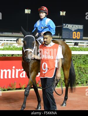 L'hippodrome de Meydan, eau. 5 novembre, 2015. Sam Hitchcott et Etijaah avant la course 4 le handicap 84-99 pur-sang à Meydan Crédit : Tom Morgan/Alamy Live News Banque D'Images