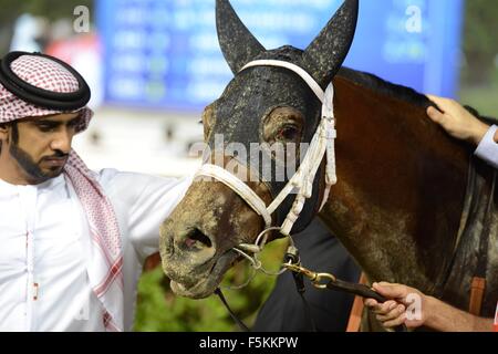 L'hippodrome de Meydan, eau. 5 novembre, 2015. Etijaah après avoir remporté les 4 courses de pur-sang Handicap 84-99 à Meydan Crédit : Tom Morgan/Alamy Live News Banque D'Images