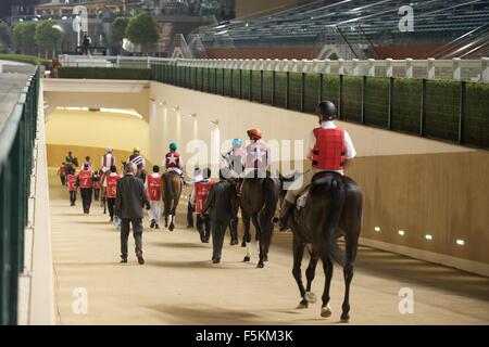 L'hippodrome de Meydan, eau. 5 novembre, 2015. Les coureurs entrer dans le tunnel avant la course 6 le handicap 74-89 pur-sang à Meydan Crédit : Tom Morgan/Alamy Live News Banque D'Images