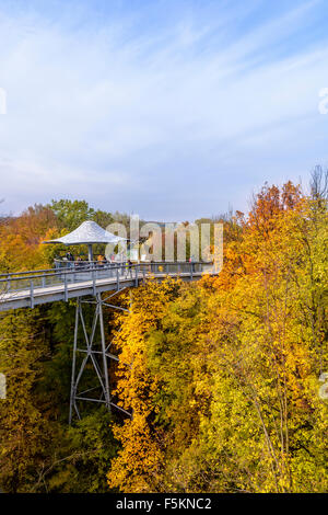 Treetop walkway dans Parc national du Hainich, Thuringe, Allemagne Banque D'Images