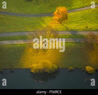 Les arbres feuillus en automne au bord du lac jaune, feuilles Kemnade Banque D'Images