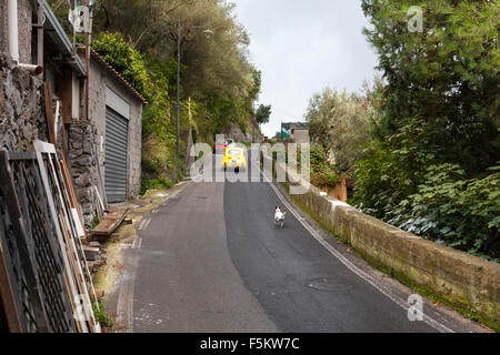 Scène de rue - un petit chien court après une voiture Fiat 500 jaune vintage, d'une colline escarpée dans Montepertuso sur la Côte d'Amalfi, Italie Banque D'Images