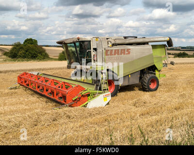 Rendmt Lexion Claas stationnaire 480 hacheuse combiné dans champ de maïs dans le Leicestershire, Angleterre, Royaume-Uni. Banque D'Images