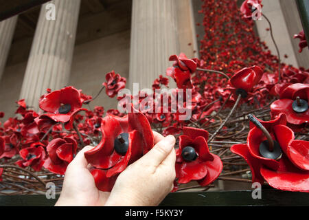 Liverpool, Merseyside, Royaume-Uni. 6 novembre, 2015. La fenêtre 'pleurs' installation de pavot à St Georges Hall à Liverpool. La sculpture a été développé par des bénévoles en commémoration de l'héros disparus des deux guerres mondiales. Les coquelicots sont drapées comme une rivière qui coule, au bas de l'Escalier sinueux de St Georges Hall. Le superbe écran sera terminé et inauguré pour le dimanche du Jour du Souvenir le 8 novembre. Credit : Cernan Elias/Alamy Live News Banque D'Images