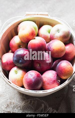 Pommes dans bol, elevated view Banque D'Images