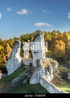 Lime Rock formation aberrantes l'un des nombreux qui peuvent être trouvés dans les hautes-Krakow-Czestochowa également connu sous le nom de Highland Jurasic polonais Banque D'Images