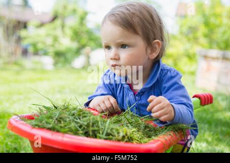 Portrait of cute female toddler leaning on toy brouette dans le jardin Banque D'Images