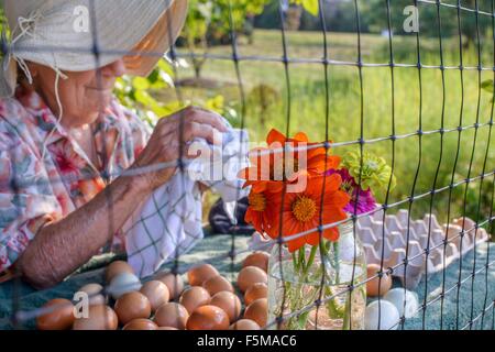 Hauts woman wiping œufs sur farm Banque D'Images