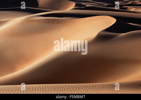 Les dunes de sable, les oasis de Liwa, Abu Dhabi, UAE Banque D'Images